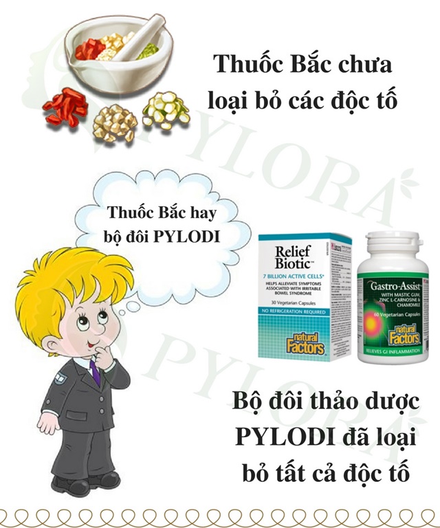 Không nên dùng các loại thuốc khác khi đang sử dụng bộ đôi dược thảo PyLoDi
